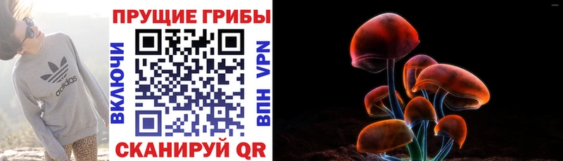 Галлюциногенные грибы MAGIC MUSHROOMS  Моздок 